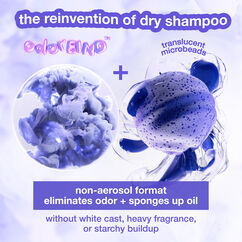 AirWash&trade; Dry Shampoo, , large, image4