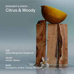 Bergamot & Hinoki Body Lotion, , large, image8