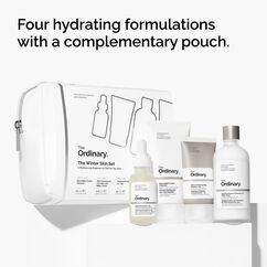 Winter Skin Set, , large, image5