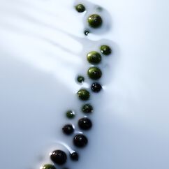 Blanche Absolu De Parfum, , large, image4