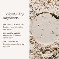 Barrier Build Skin Protectant Cream, , large, image10