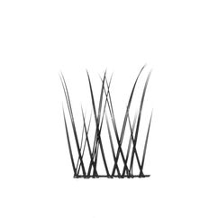 No Lash Cluster Short, , large, image2