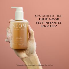 Hand Wash Great Day, , large, image5