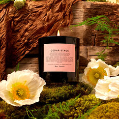 Bougie parfum&eacute;e Cedar Stack Magnum, , large, image5