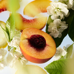 Mini Find Comfort: Awaken Confidence Body Essentials, , large, image5