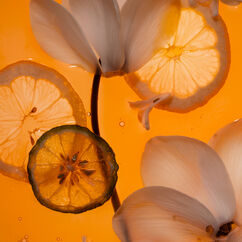 Somebody Wood Eau De Parfum, , large, image7