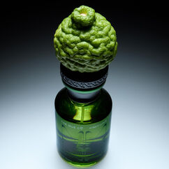 Forest Lungs, , large, image3