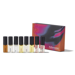 Rollercoaster Discovery Set