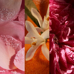 Elixir Fragrance Collection, , large, image5