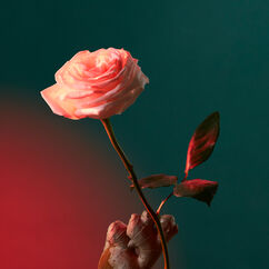 Liquid Love Eau de Parfum, , large, image4