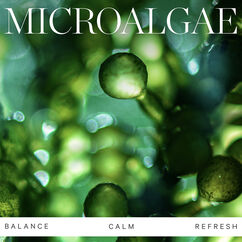 Active Algae Calming Cleansing Balm, , large, image8