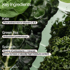 Superfood Cleanser Refill Pouch, , large, image3