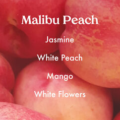 Paradise Found Kit, , large, image3