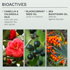 Evercalm Global Protection Day Cream, , large, image7