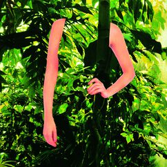 Soul of The Forest Eau de Parfum, , large, image4