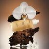Vanilla Skin Body Oil, , large, image8