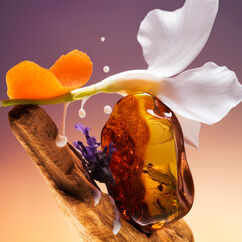 Afterglow Eau de Parfum, , large, image5