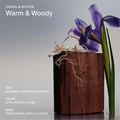 Santal & Vetiver Candle, , large, image5