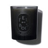 Feu de Bois Medium Scented Candle, , large, image1