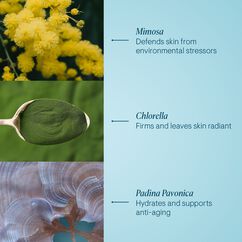 Pro-Collagen Marine Cream, , large, image9