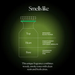 Forest Lungs, , large, image4